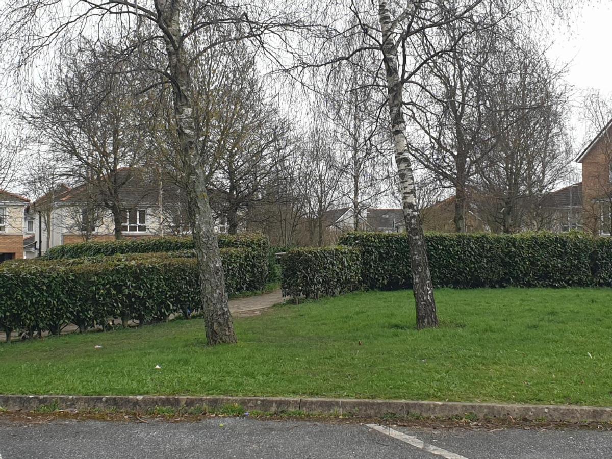 Kilkenny City Apartment Buitenkant foto